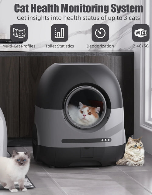 Load image into Gallery viewer, Redsasa Self-Cleaning Cat Litter Box, Automatic Litter Box for Multiple Cats with APP Control, 80L, Black
