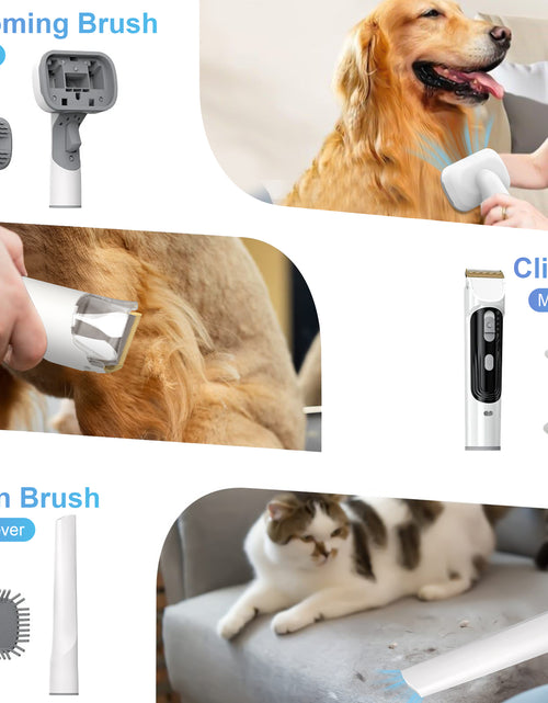 Load image into Gallery viewer, 14Kpa Dog Grooming Kit &amp; Vacuum, 2.5L Pet Hair Vacuum Suction 99% Pet Hair,3 Modes Suction Dog Grooming Clipper Kit,5 Pet Groomer Tools,Low Noise Pet Shedding Vacuum for Dogs Cats,White
